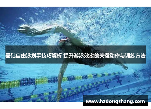 基础自由泳划手技巧解析 提升游泳效率的关键动作与训练方法