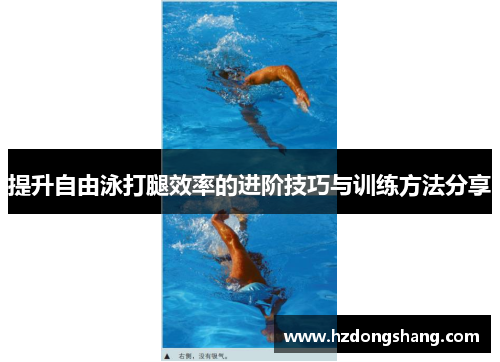 提升自由泳打腿效率的进阶技巧与训练方法分享
