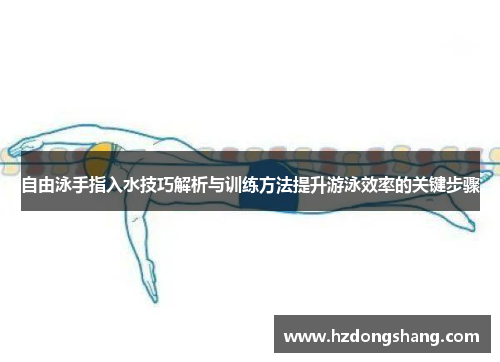 自由泳手指入水技巧解析与训练方法提升游泳效率的关键步骤