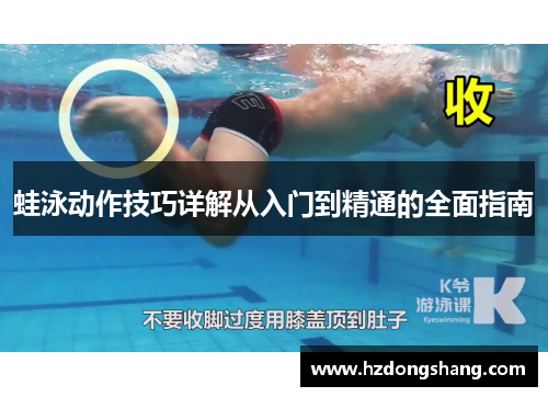 蛙泳动作技巧详解从入门到精通的全面指南