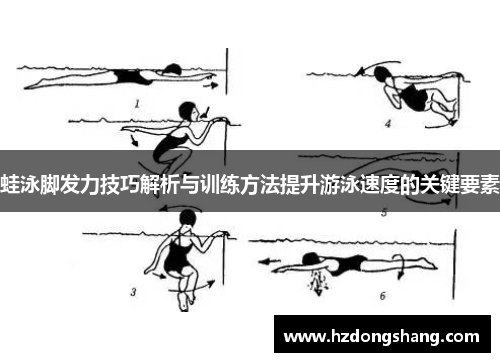 蛙泳脚发力技巧解析与训练方法提升游泳速度的关键要素